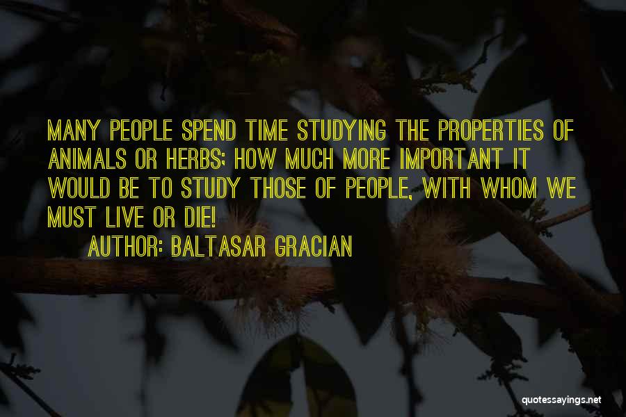 How To Spend Time Quotes By Baltasar Gracian