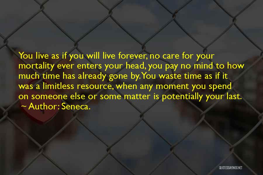 How To Spend Time Quotes By Seneca.