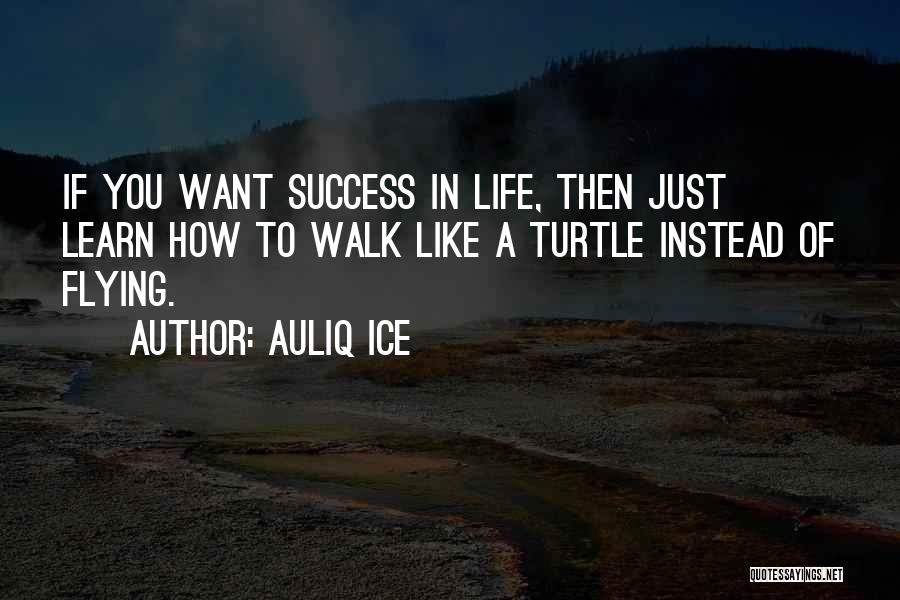 How To Success In Life Quotes By Auliq Ice