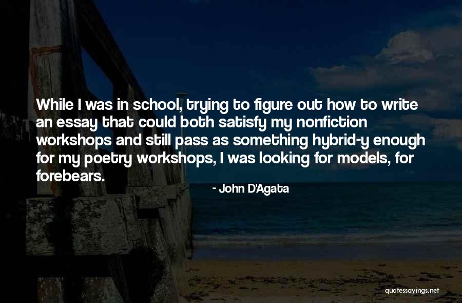 How To Write An Essay With The Quotes By John D'Agata How To Write An Essay With The Quotes By John D'Agata