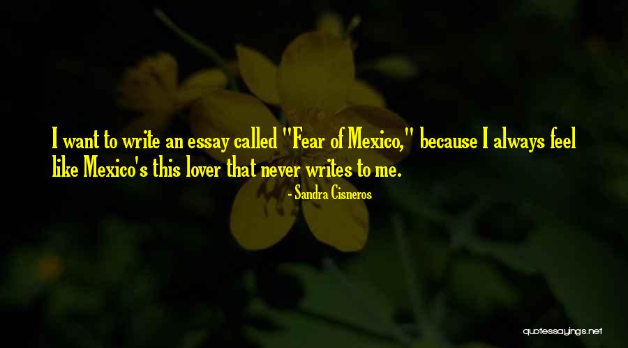 How To Write An Essay With The Quotes By Sandra Cisneros How To Write An Essay With The Quotes By Sandra Cisneros