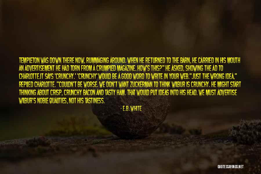 How To Write Good Quotes By E.B. White How To Write Good Quotes By E.B. White