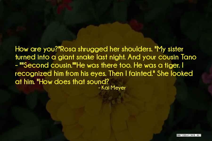 How Was Your Night Quotes By Kai Meyer How Was Your Night Quotes By Kai Meyer
