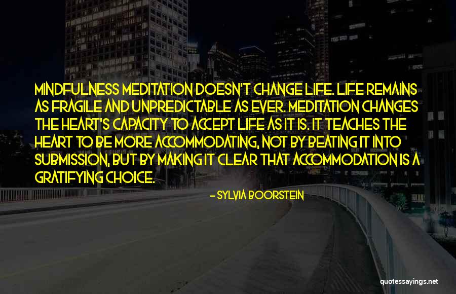 How We Accept All The Changes Quotes By Sylvia Boorstein