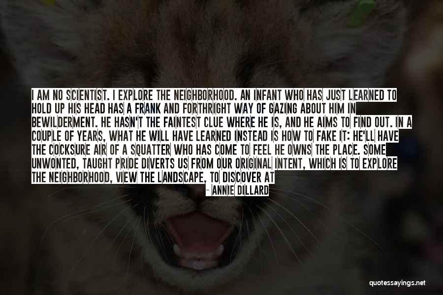 How We Learn Quotes By Annie Dillard How We Learn Quotes By Annie Dillard