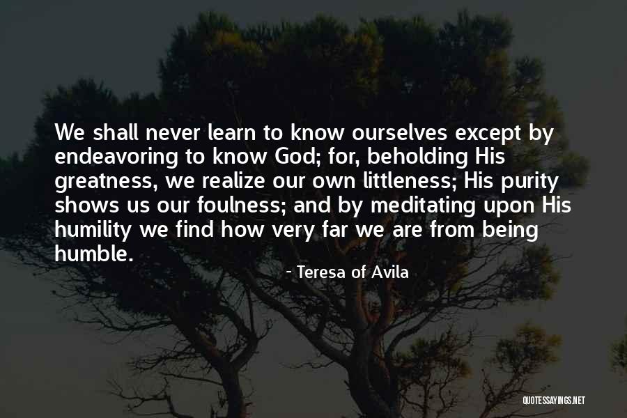 How We Learn Quotes By Teresa Of Avila How We Learn Quotes By Teresa Of Avila