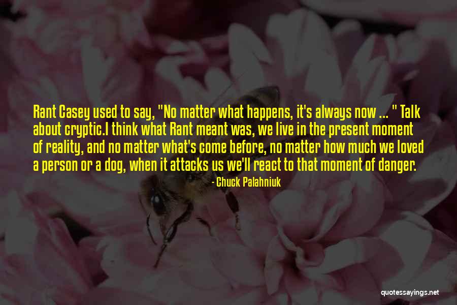 How We React Quotes By Chuck Palahniuk How We React Quotes By Chuck Palahniuk