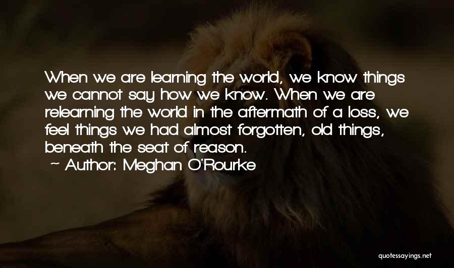 How We Say Things Quotes By Meghan O'Rourke