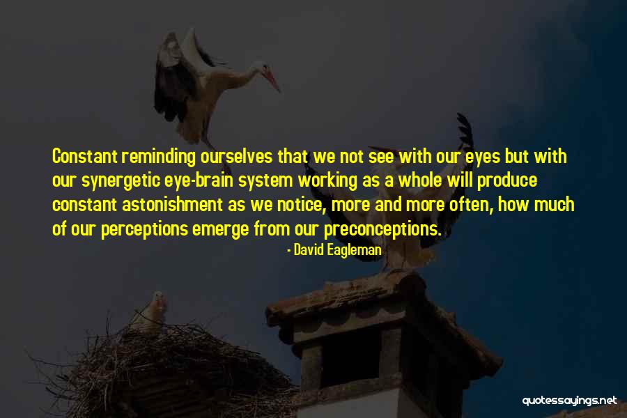 How We See Ourselves Quotes By David Eagleman