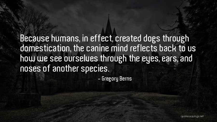 How We See Ourselves Quotes By Gregory Berns