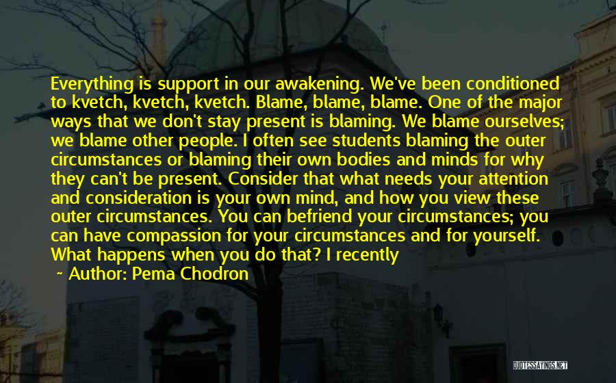 How We See Ourselves Quotes By Pema Chodron