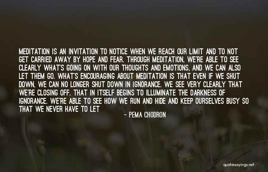 How We See Ourselves Quotes By Pema Chodron