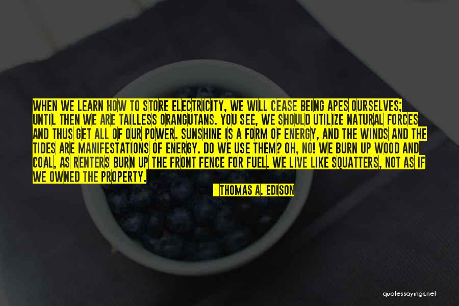 How We See Ourselves Quotes By Thomas A. Edison