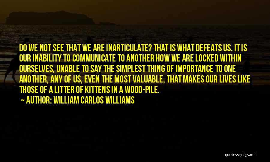How We See Ourselves Quotes By William Carlos Williams