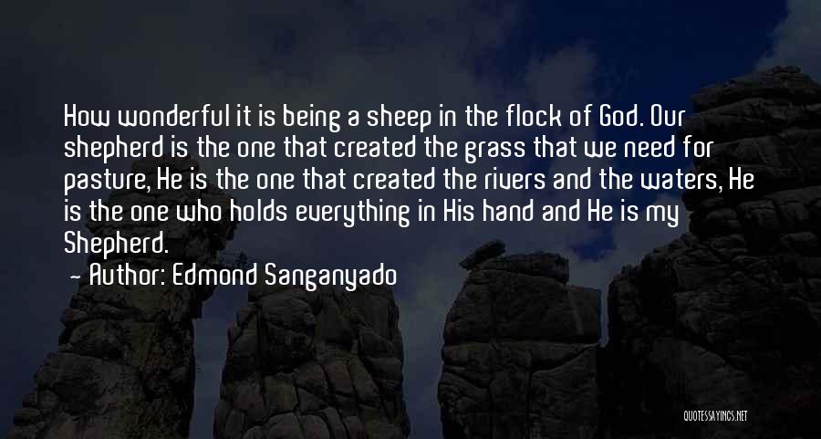 How Wonderful God Is Quotes By Edmond Sanganyado