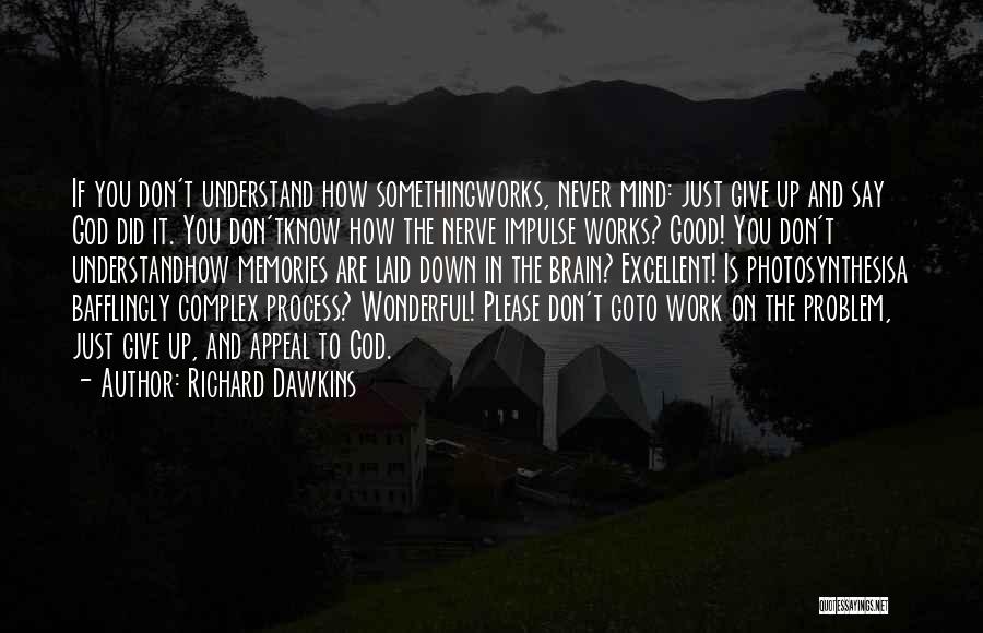 How Wonderful God Is Quotes By Richard Dawkins