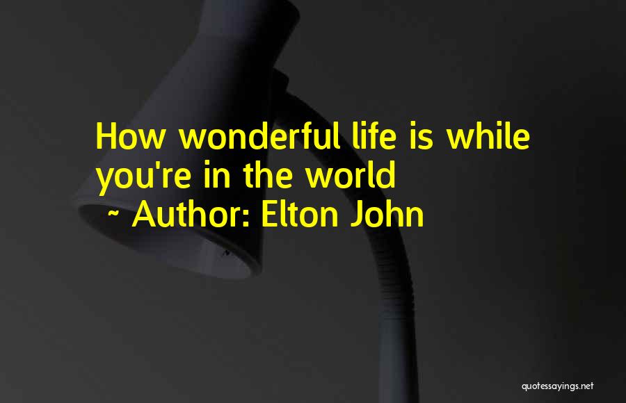 How Wonderful Life Is Quotes By Elton John