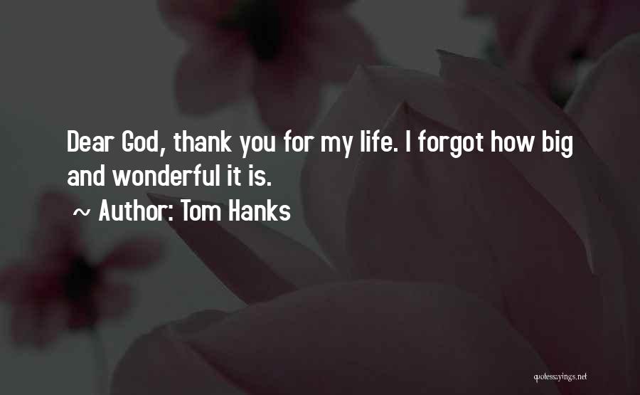 How Wonderful Life Is Quotes By Tom Hanks