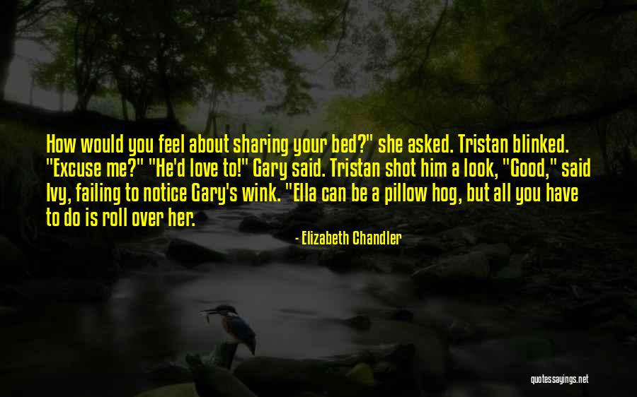 How You Feel About Him Quotes By Elizabeth Chandler