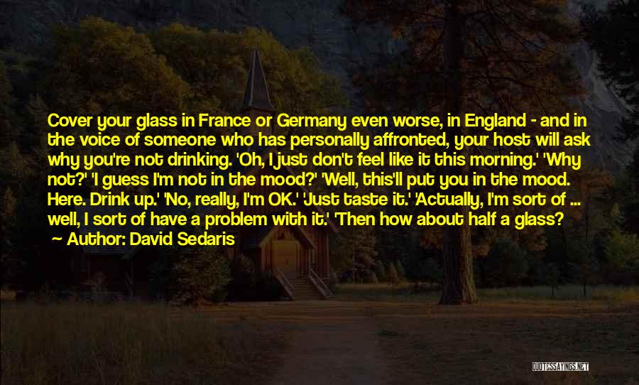 How You Feel About Someone Quotes By David Sedaris How You Feel About Someone Quotes By David Sedaris