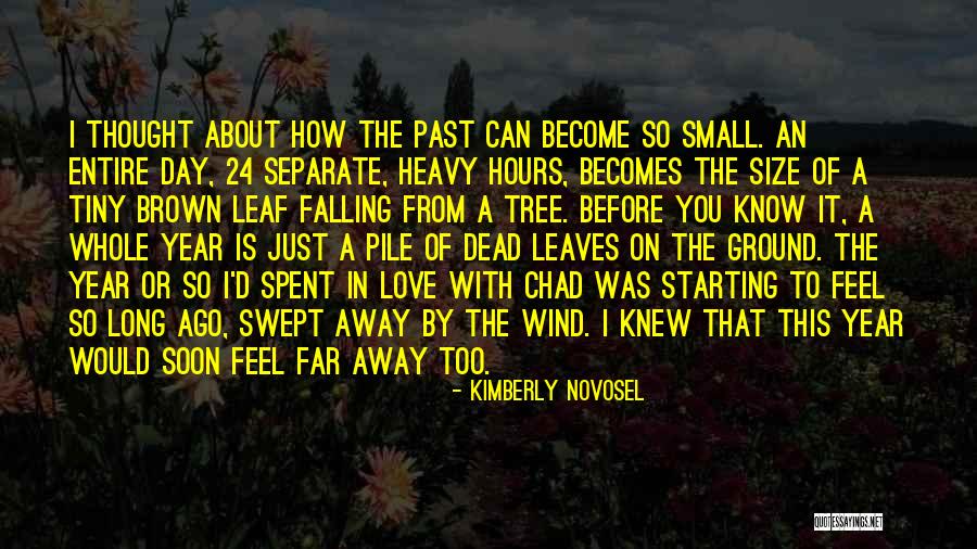 How You Feel Love Quotes By Kimberly Novosel