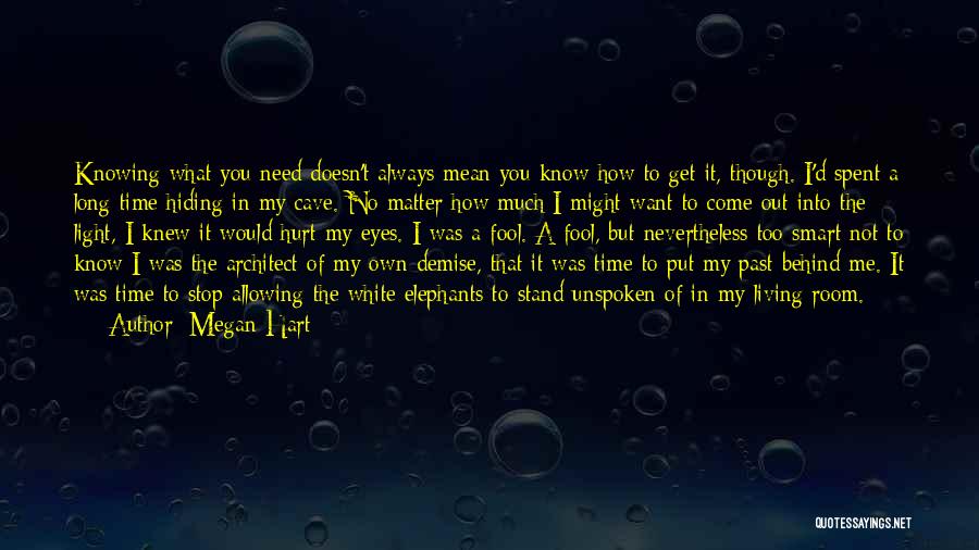 How You Hurt Me Quotes By Megan Hart