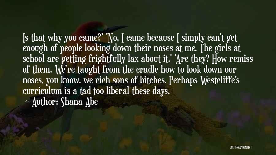 How You Look At Me Quotes By Shana Abe