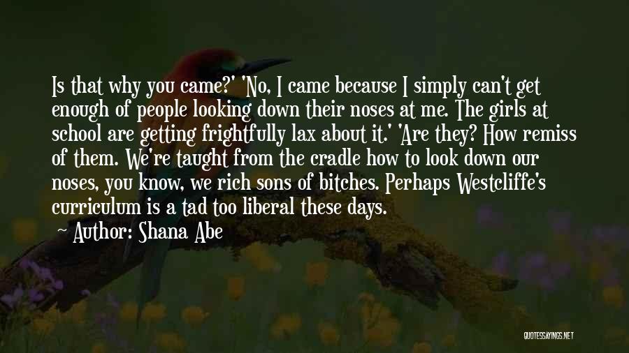 How You Look At Me Quotes By Shana Abe