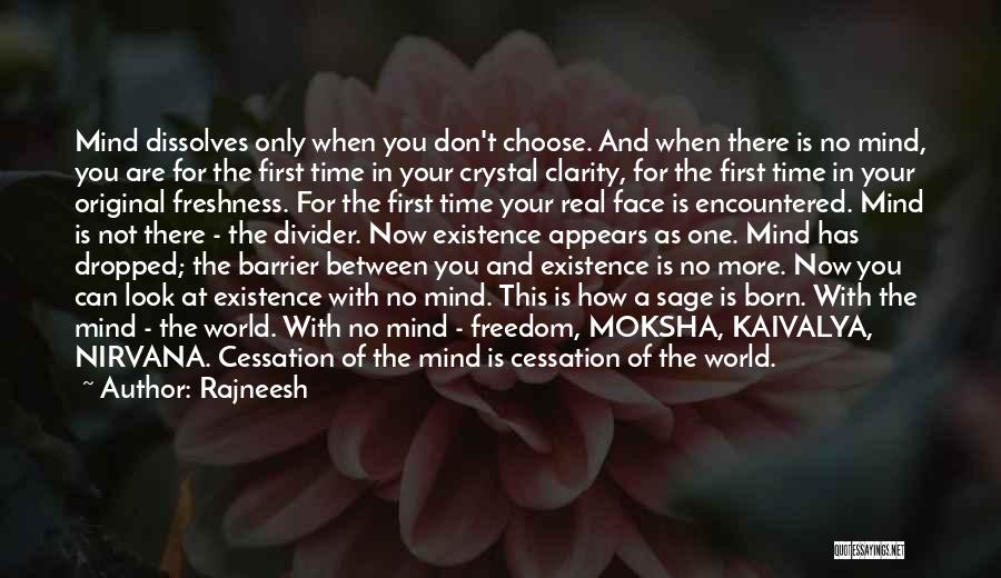 How You Look At The World Quotes By Rajneesh