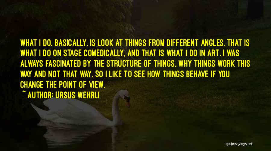 How You Look At Things Quotes By Ursus Wehrli