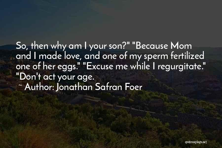 How You Love Your Mom Quotes By Jonathan Safran Foer