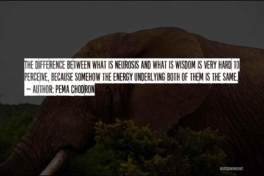 How You Perceive Yourself Quotes By Pema Chodron