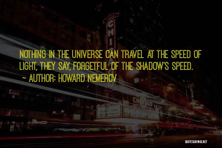 Howard Nemerov Quotes 1556805