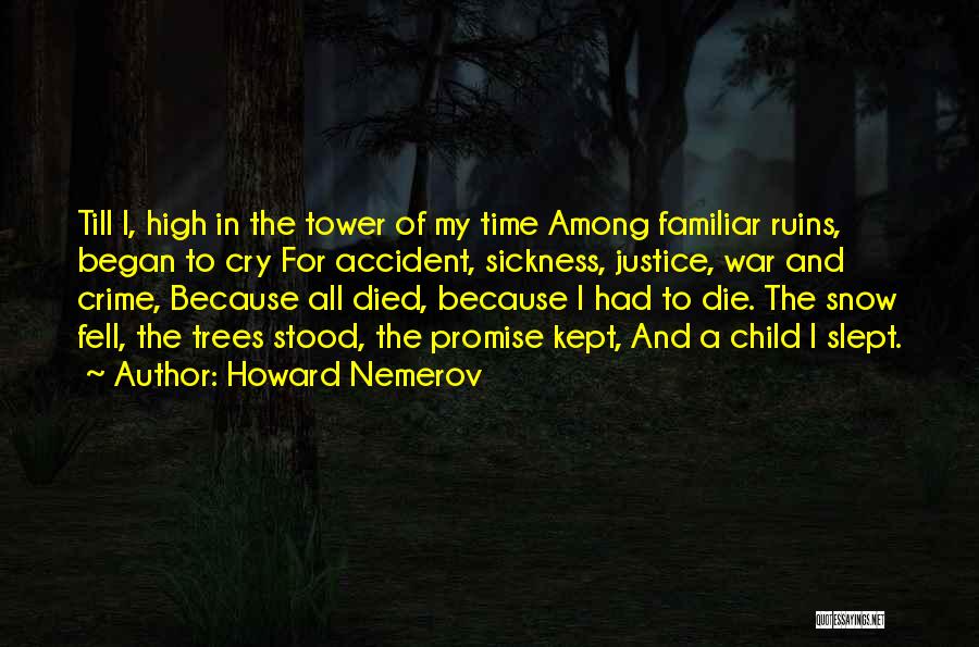 Howard Nemerov Quotes 1855307