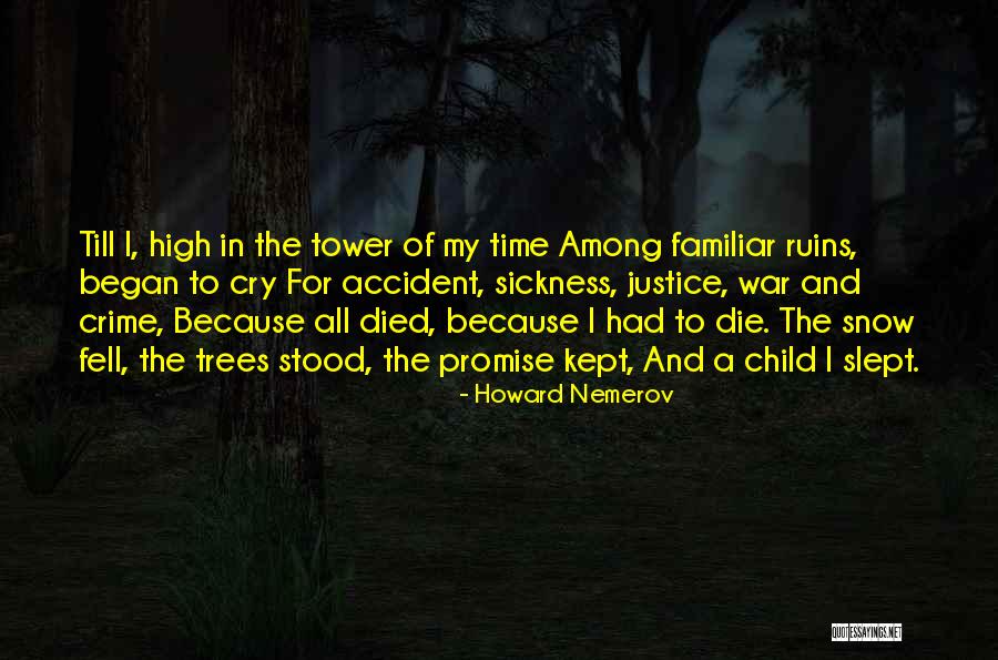 Howard Nemerov Quotes 1855307