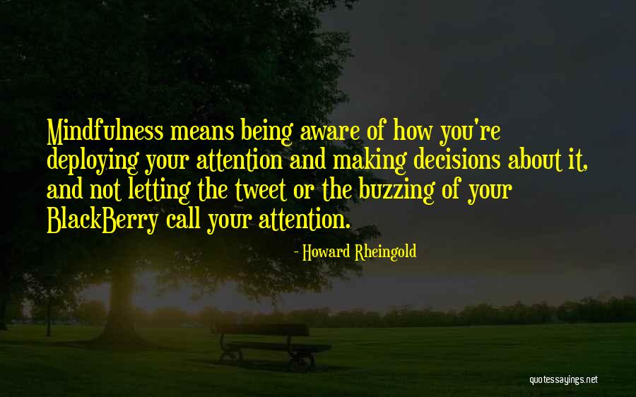 Howard Rheingold Quotes 152163