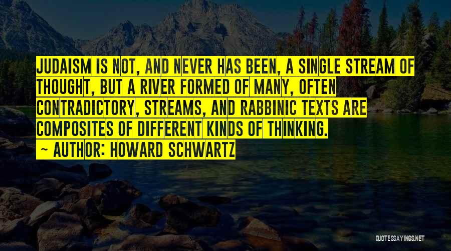 Howard Schwartz Quotes 1273844