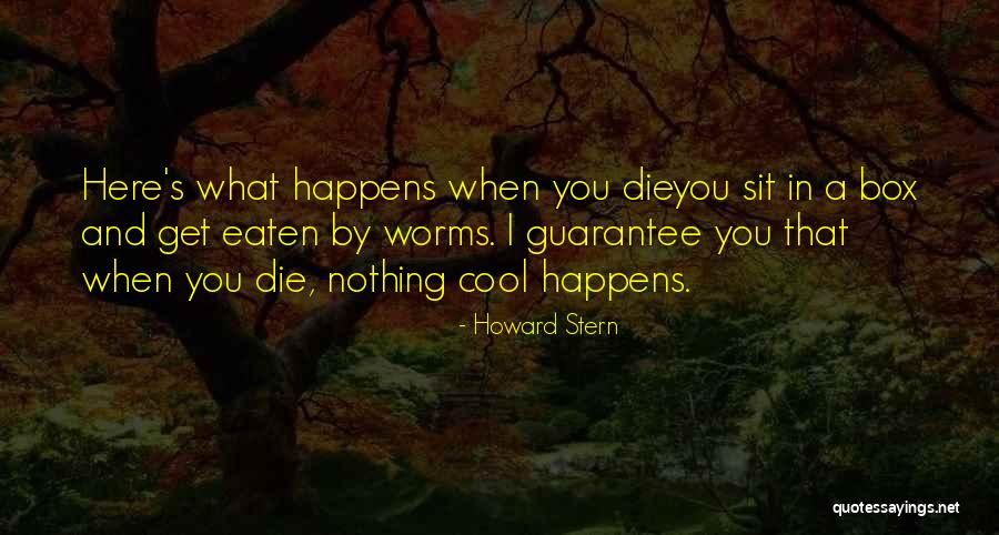 Howard Stern Quotes 1870173