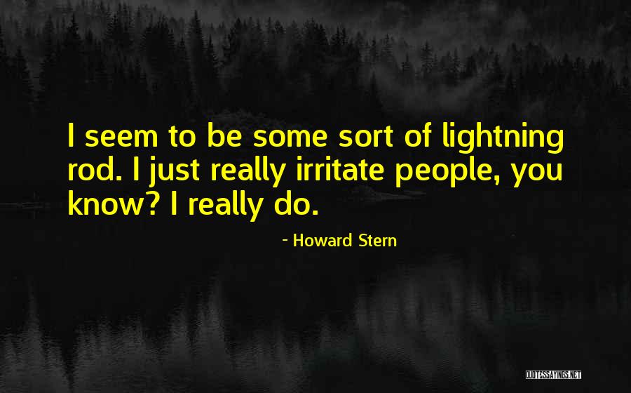 Howard Stern Quotes 387141