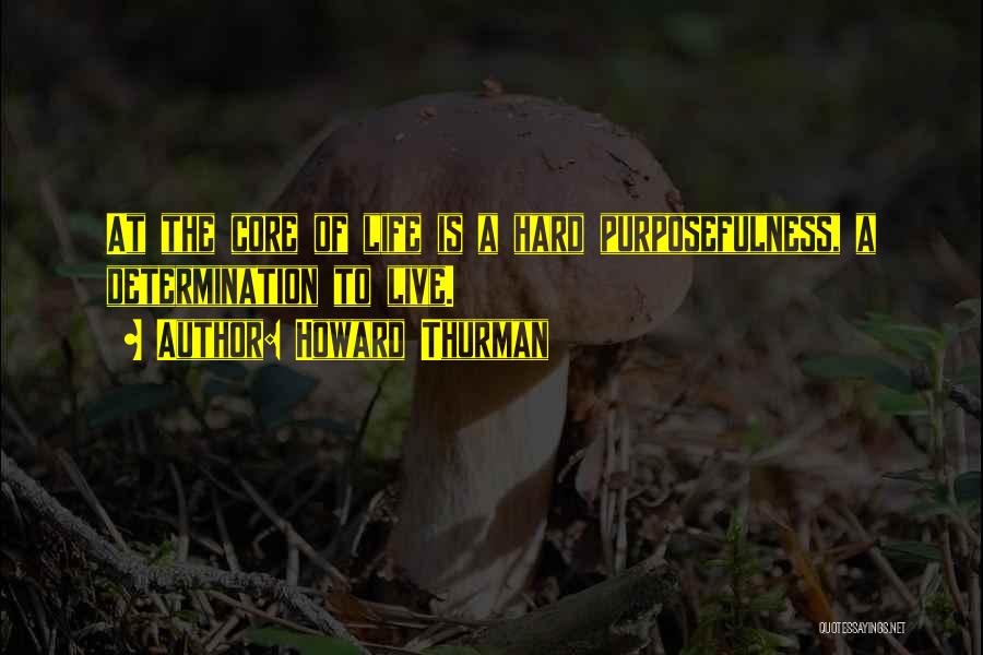 Howard Thurman Quotes 332013