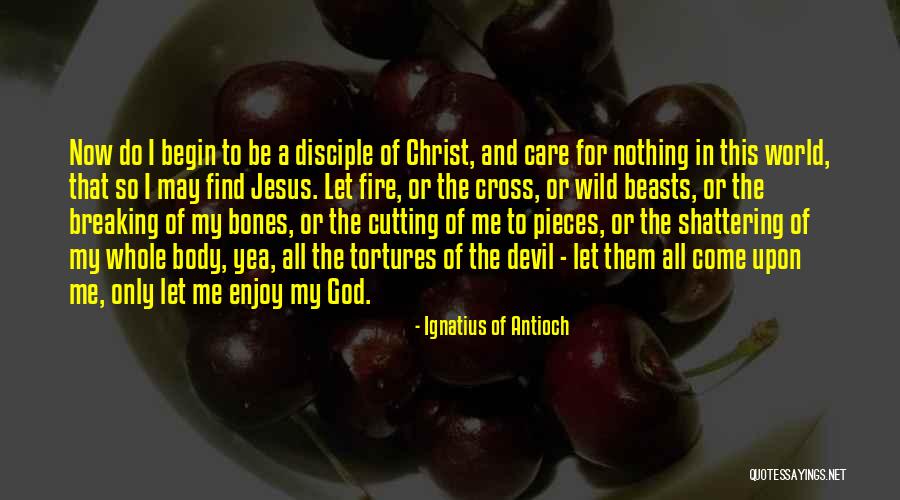 Howden Joinery Quotes By Ignatius Of Antioch Howden Joinery Quotes By Ignatius Of Antioch