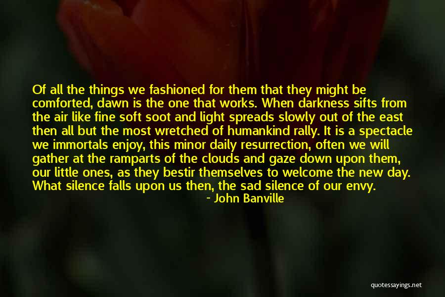 Howington Burrell Quotes By John Banville Howington Burrell Quotes By John Banville
