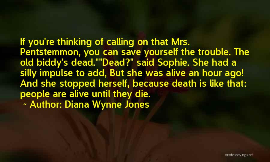 Howl Moving Castle Diana Wynne Jones Quotes By Diana Wynne Jones