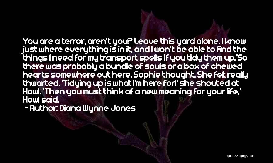 Howl Moving Castle Diana Wynne Jones Quotes By Diana Wynne Jones