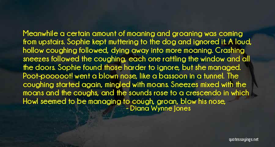 Howl Sophie Quotes By Diana Wynne Jones Howl Sophie Quotes By Diana Wynne Jones