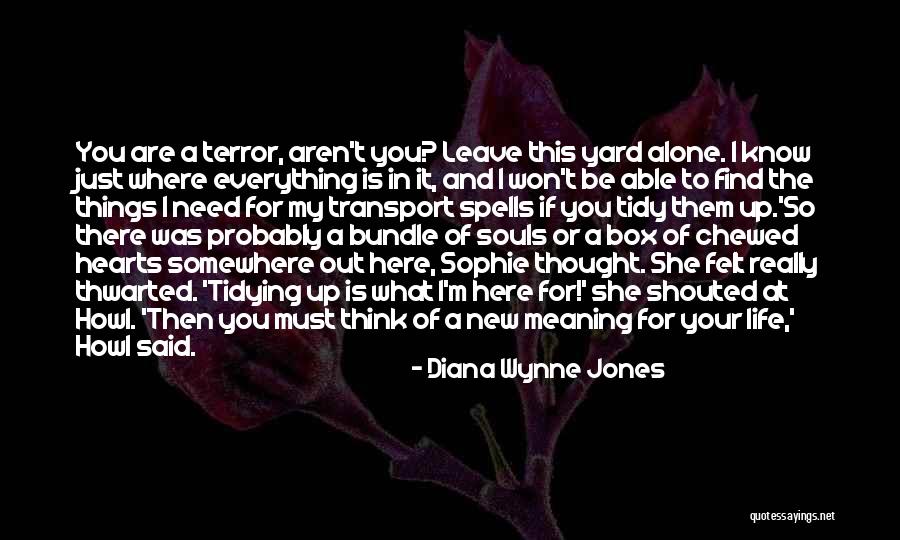 Howl Sophie Quotes By Diana Wynne Jones