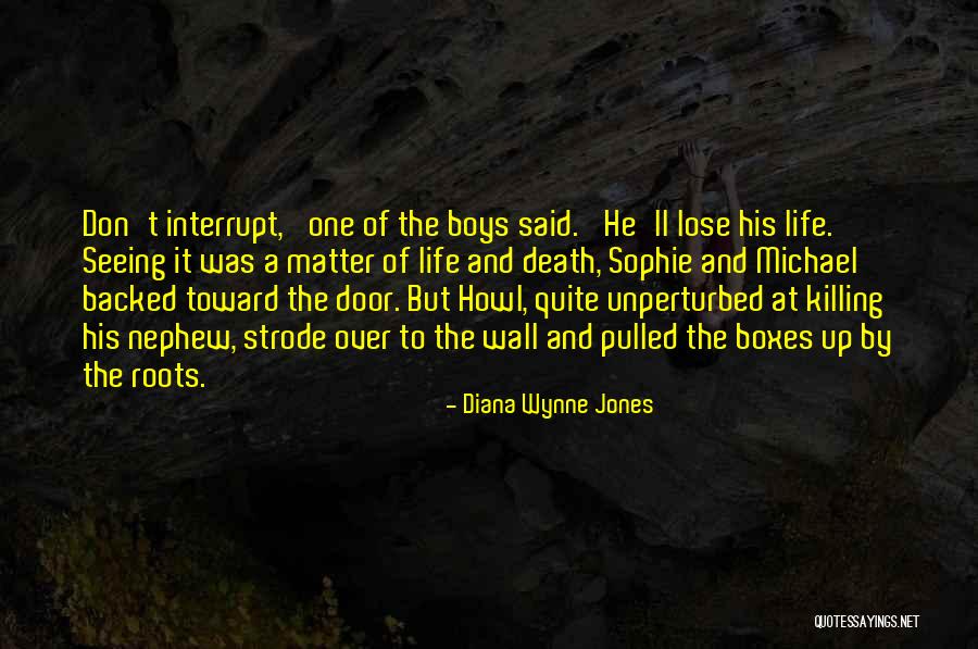 Howl Sophie Quotes By Diana Wynne Jones