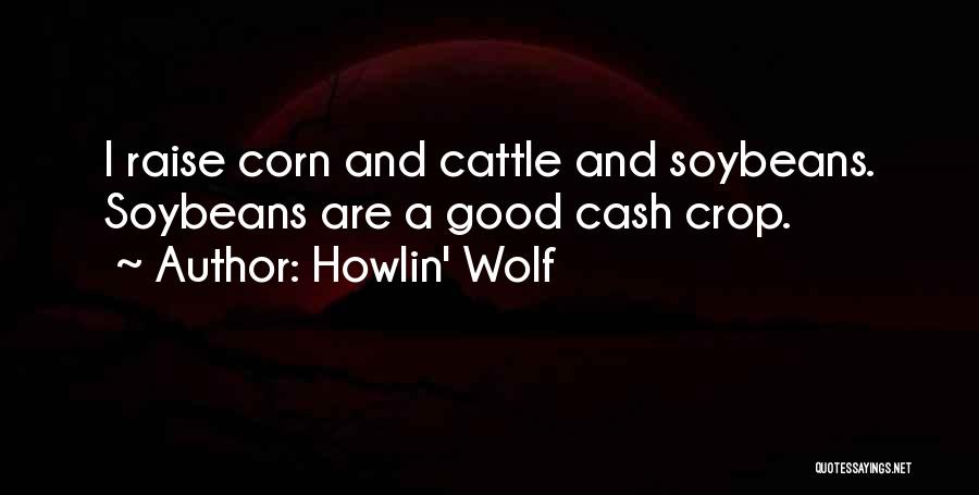 Howlin' Wolf Quotes 112217