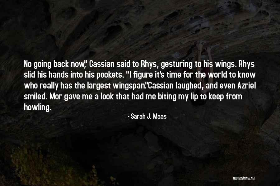 Howling Quotes By Sarah J. Maas