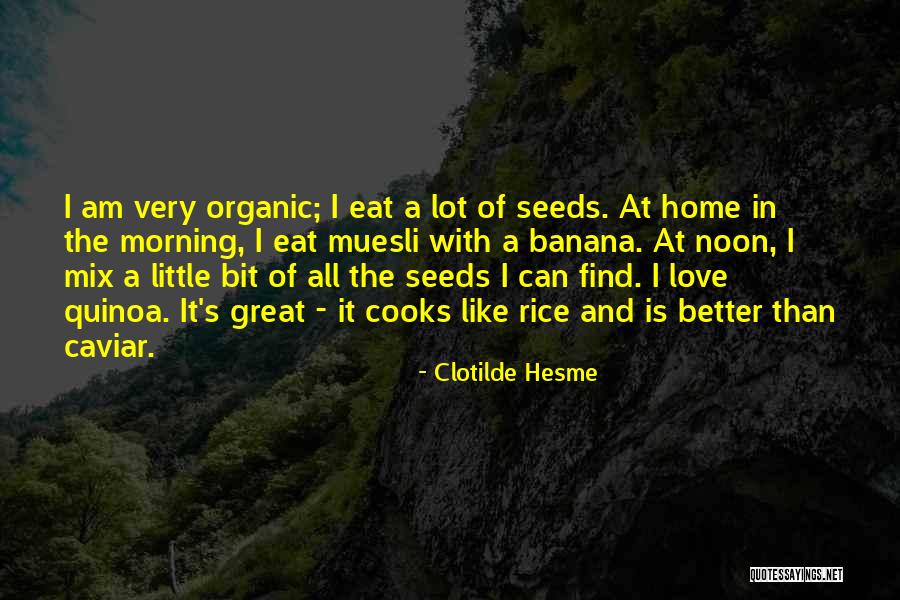Howrey Law Quotes By Clotilde Hesme Howrey Law Quotes By Clotilde Hesme